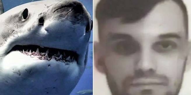 Подробности гибели россиянина в Египте от зубов акулы (видео)