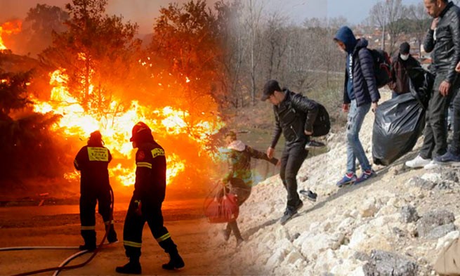 Pronews: пожар в лесу Дадиас произошел по вине нелегалов, которые разогревали себе еду
