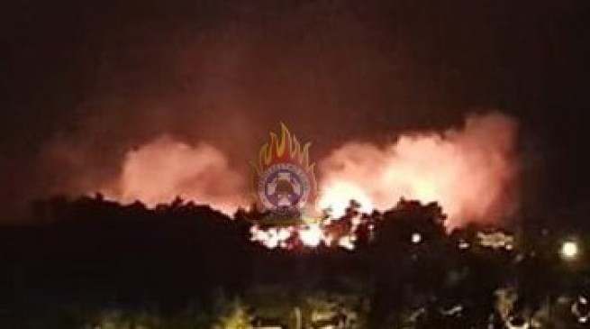Лесной пожар в пригороде Афин- под контролем