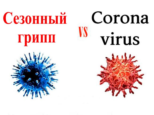 Вирус гриппа против коронавируса