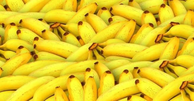 Эквадор: бананы с начинкой для России и Бельгии