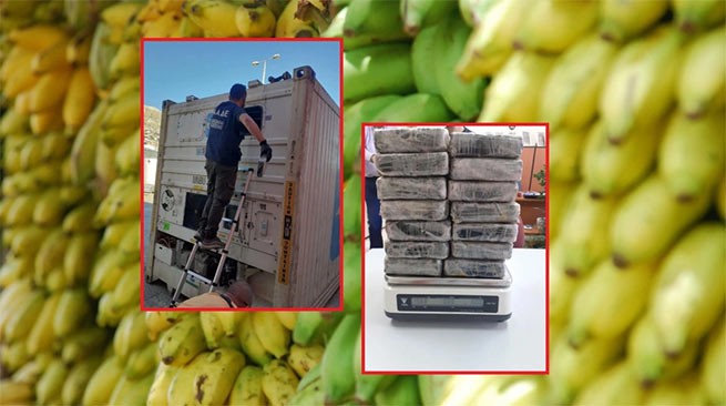 В контейнере с бананами нашли 16 кг кокаина