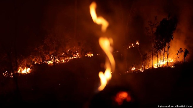 Пожары на Эвии и в Элиде: наземные и воздушные силы брошены на борьбу с огненной стихией