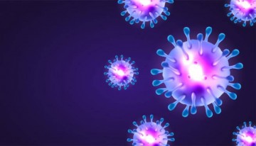 Коронавирус: оптимистические сообщения от ВОЗ — темпы распространения инфекции замедлились