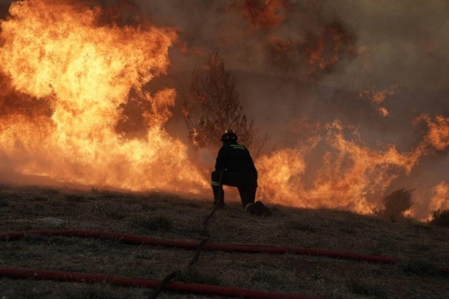 Поджигателей греческих лесов удалось заснять