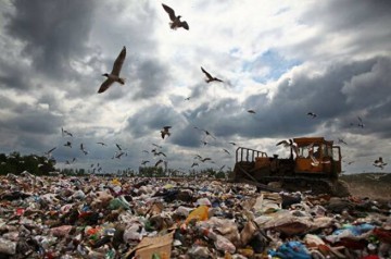 Отходы Covid стремительно загрязняют планету