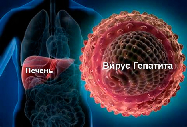 Reuters: второй случай заболевания гепатитом А в Идомени