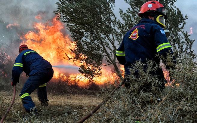 Крупный пожар в лесной зоне в Маркопулос-Оропу