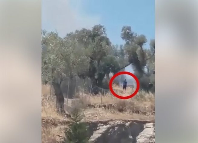 Видео Шок! &quot;Беженец&quot; из Мории поджигает оливковый сад