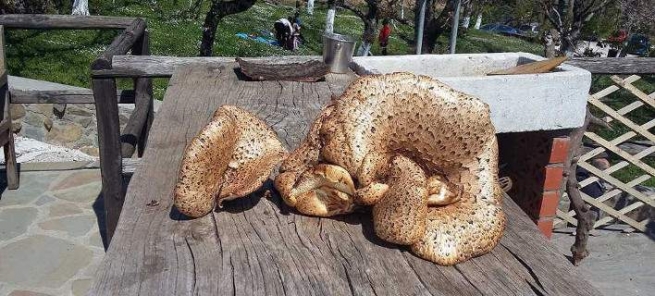 Гигантский гриб нашли в Козани