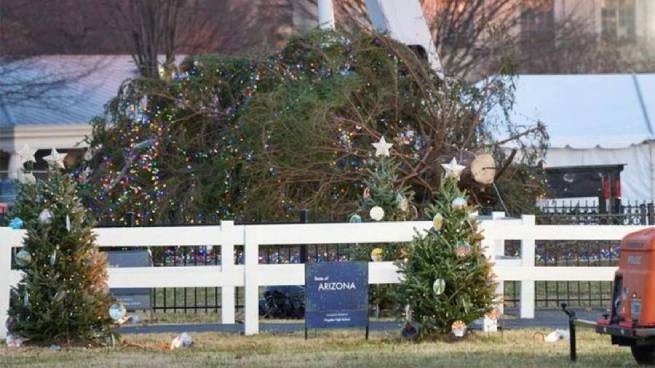 США: рождественская елка перед Белым домом рухнула под порывами сильного ветра (видео)