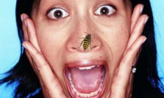 Пчела ужалила женщину в... язык!