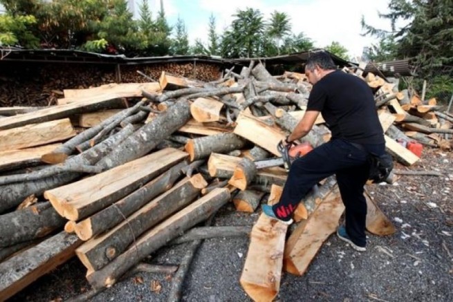 Греция запрещает экспорт дров