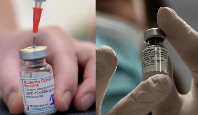 Более 1200 случаев миокардита и перикардита после вакцинации Pfizer и Moderna