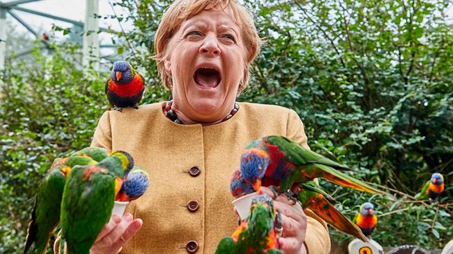Ангела Меркель: болезненное «прощание» с попугаем