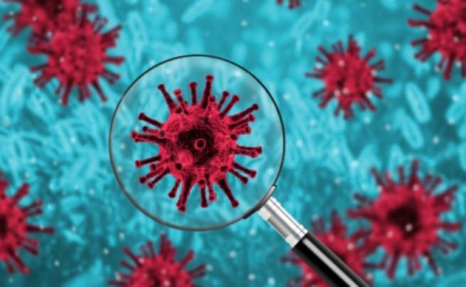 Великобритания: обнаружена новая мутация коронавируса