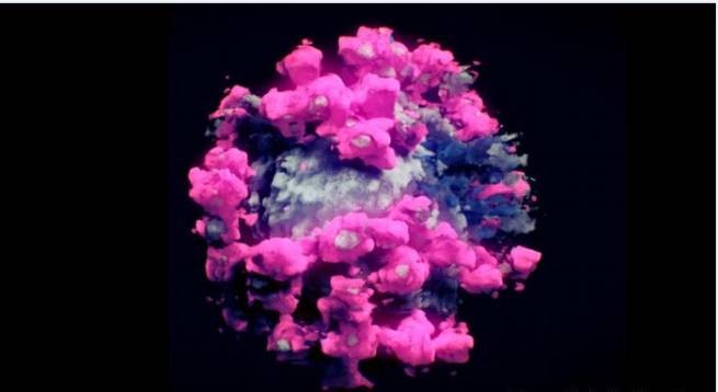 Китай: ученые сделали 3D-изображение коронавируса