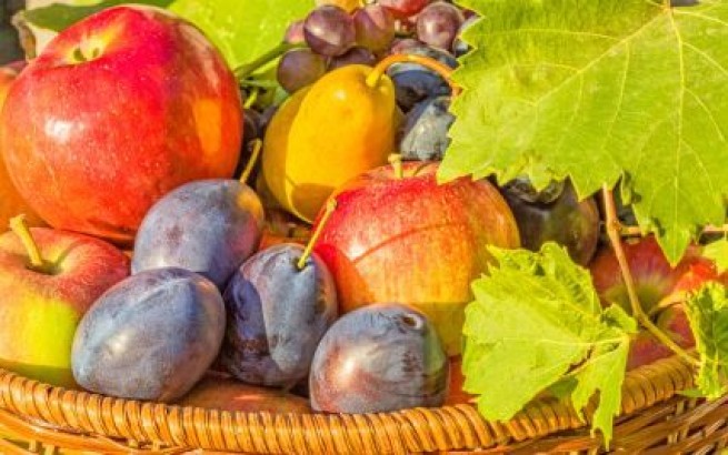 Какое количество фруктов нужно съедать каждый день