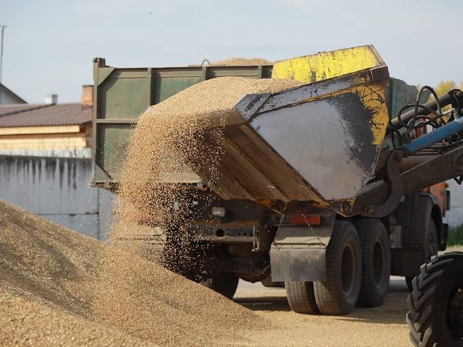 Египет отменил контракты на 240 тысяч тонн украинской пшеницы