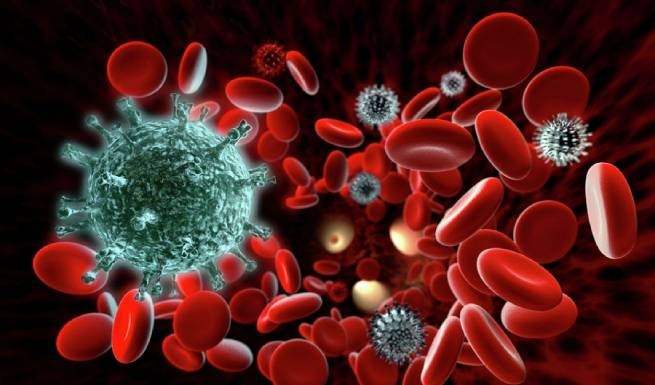 Коронавирус изменяет кровяные клетки
