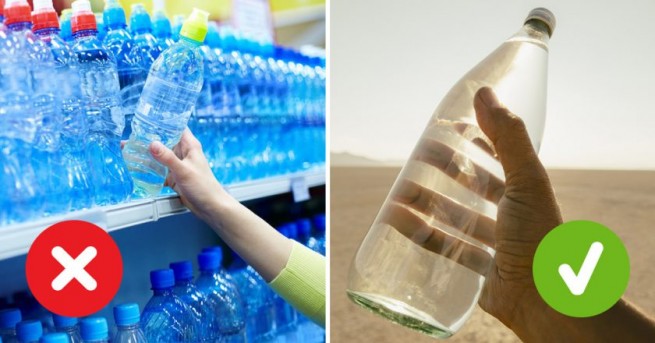 В Саратовской области спасают биосферу Волги с помощью пластиковых крышек от бутылок