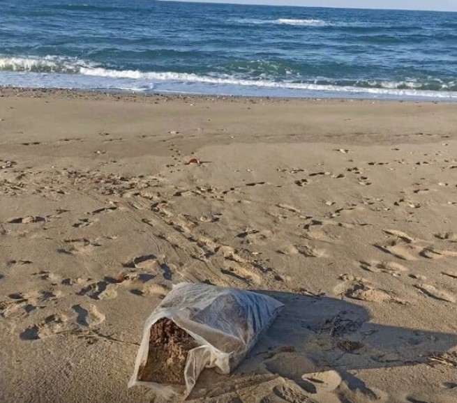 Невероятно: 134 кг марихуаны выбросило на пляж