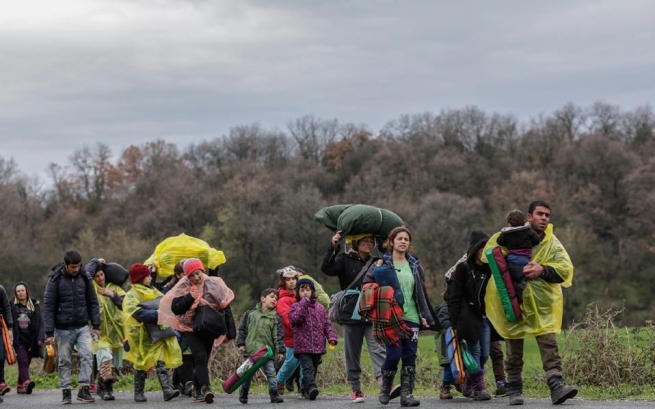 70 мигрантов обнаружены в лесу на севере Греции