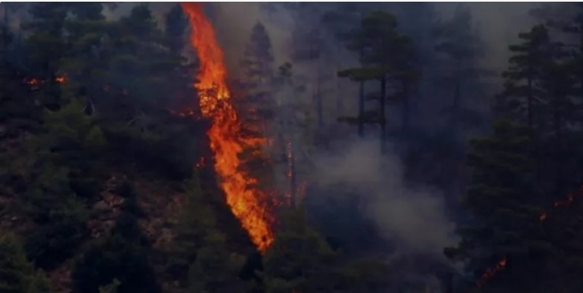 Худший пожар в истории Кипра продолжает уничтожать леса