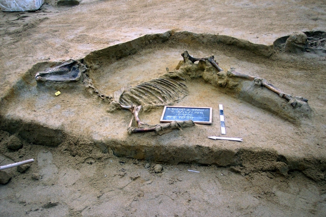Новые археологические находки в районе Дельта Фалиро