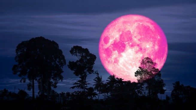 Апрельское полнолуние: когда мы увидим на небе «розовую луну»