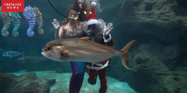 Русалка и подводный Дед Мороз порадуют посетителей океанариума