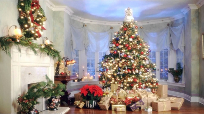 Во сколько обойдется рождественская елка в этом году?