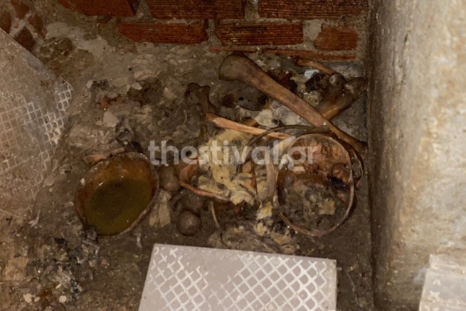 Салоники: в подвале дома найдены человеческие останки