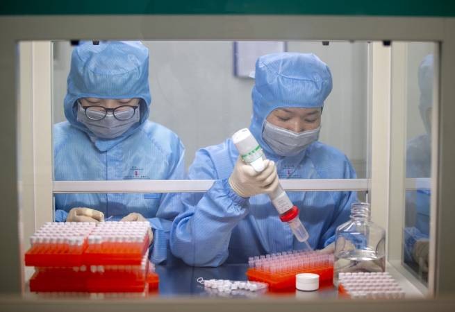 Южная Корея объявила о положительных результатах экспериментального лечения коронавируса антителами