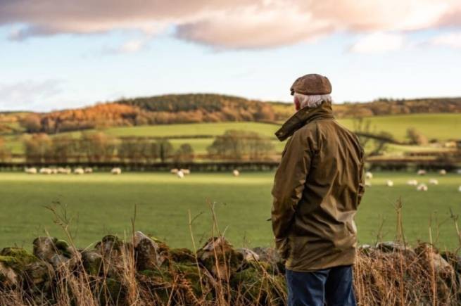 Великобритания: ушедшие на заслуженный отдых фермеры получат от 50 до 100  тысяч фунтов стерлингов