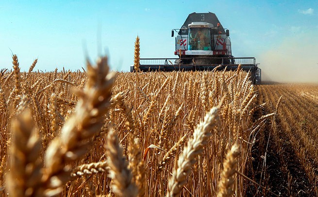 Потребности Греции в пшенице и кукурузе удовлетворяются за счет импорта из ЕС, заявил министр