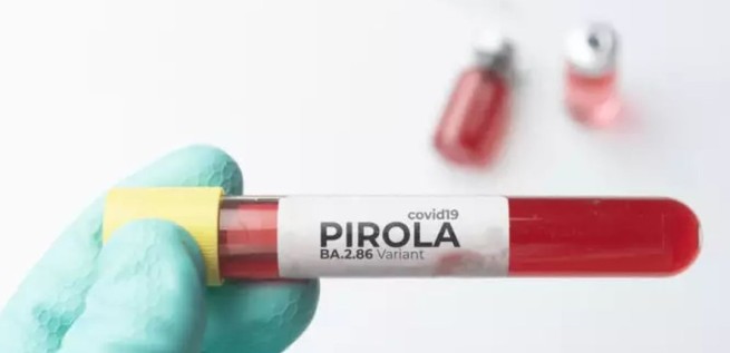 Коронавирус: штамм «Pirola» появился в Греции