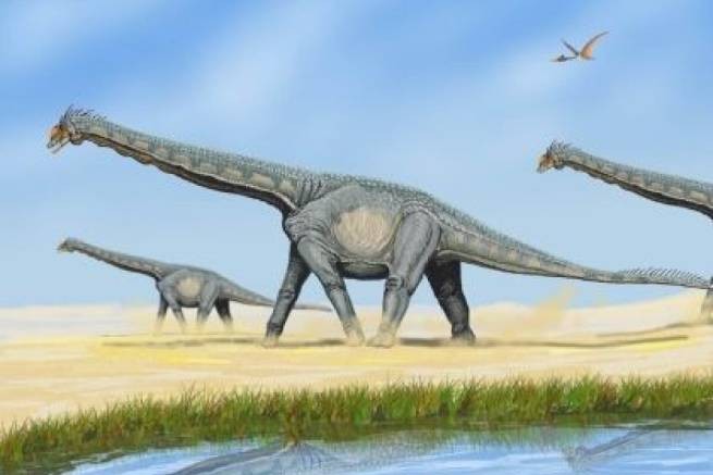 Найденный в Австралии динозавр оказался новым травоядным видом - Южным титаном