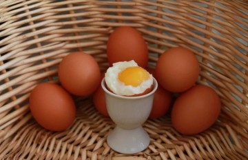Секреты правильной варки яиц