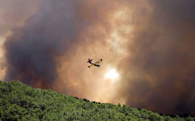 В результате июльских пожаров сгорело более 53 000 гектаров