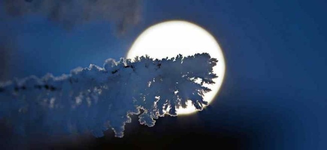 Декабрьское полнолуние: сегодня вечером мы увидим «Ледяную луну»
