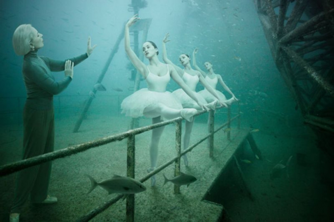 На полуострове Халкидики состоится подводная выставка фотографий