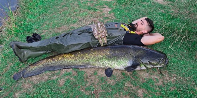 Рыбак поймал в озере 70-килограммового сома и... оставил его жить