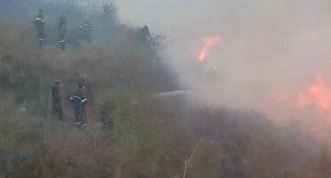 Лесные пожары на Крите частично под контролем (видео)