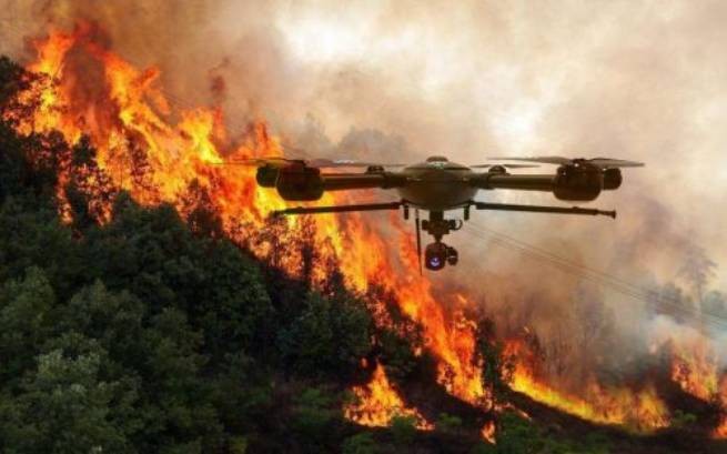 Оснащенные искусственным интеллектом беспилотники обнаруживают лесные пожары