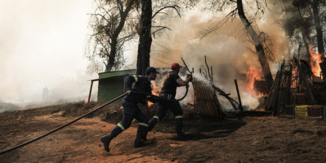 Около 2800 гектаров лесных угодий на Эвии, превратились в пепел