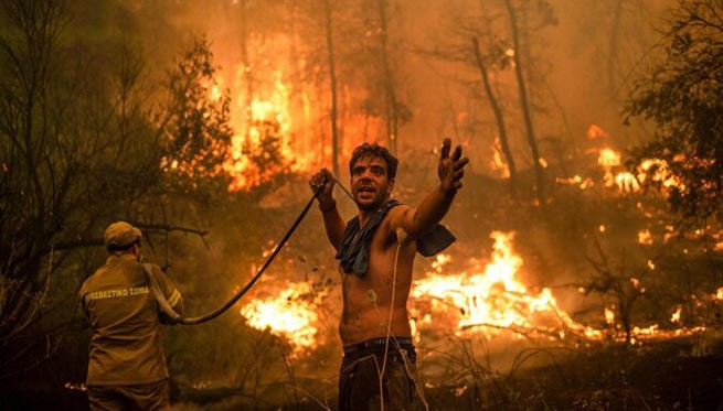 Власти Греции запретят доступ в леса и лесопарки, когда риск возникновения пожара наиболее высок