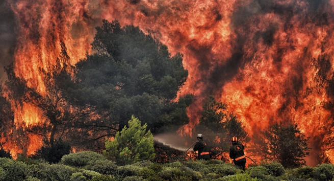 Лесные пожары 24 июля: Танагра, Неа Иконио