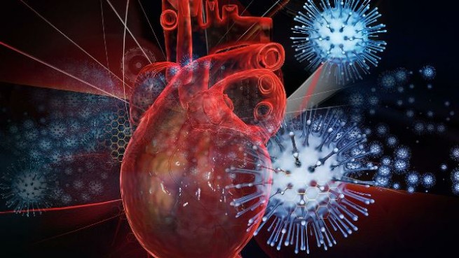 Великобритания: ученые обнаружили связь между коронавирусом и сердечной недостаточностью