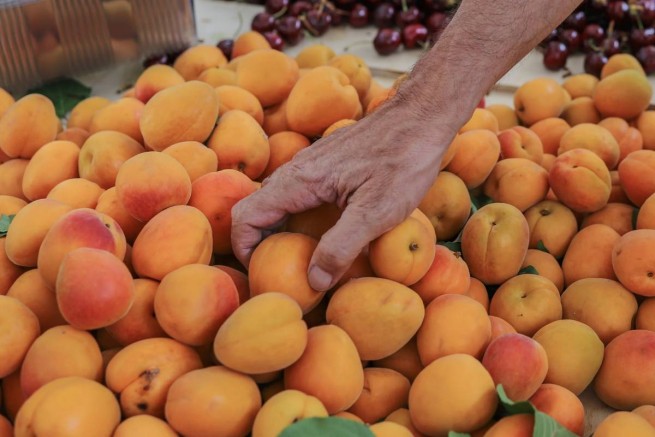 Грабители делали вид, что раздают бесплатно фрукты и обирали пожилых людей